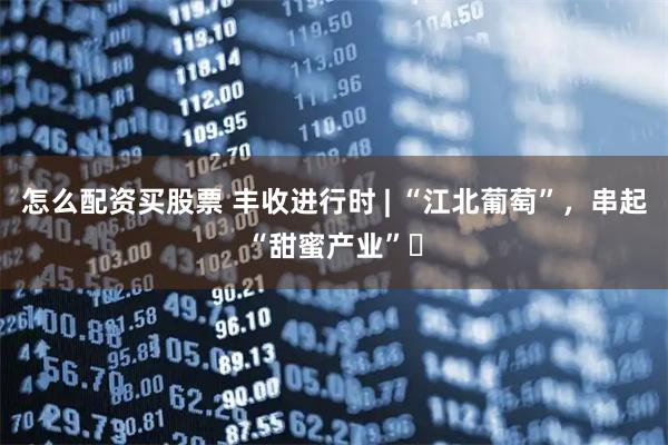 怎么配资买股票 丰收进行时 | “江北葡萄”，串起“甜蜜产业”‌