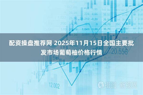 配资操盘推荐网 2025年11月15日全国主要批发市场葡萄柚价格行情
